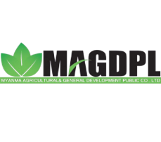 MAGDPL